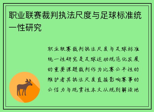 职业联赛裁判执法尺度与足球标准统一性研究